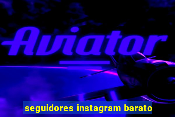 seguidores instagram barato